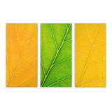 Autumn Leaves (Print Only) thumbnail