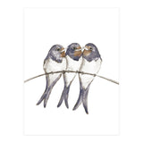 Three young swallows (Print Only) thumbnail