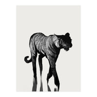 Tiger  (Print Only)