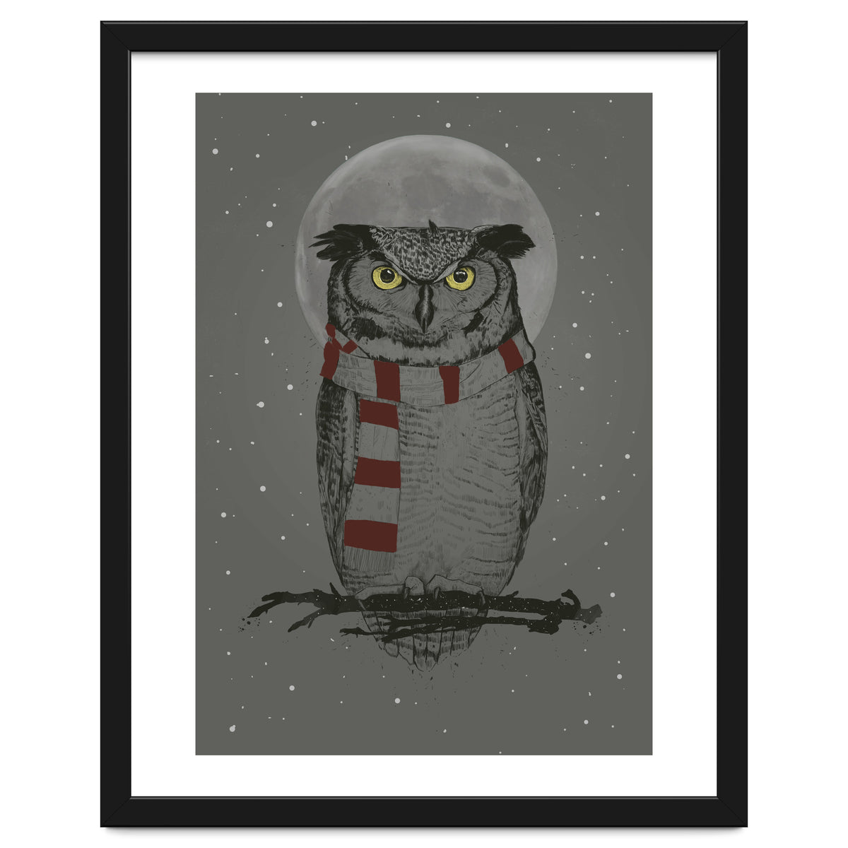 Winter Owl