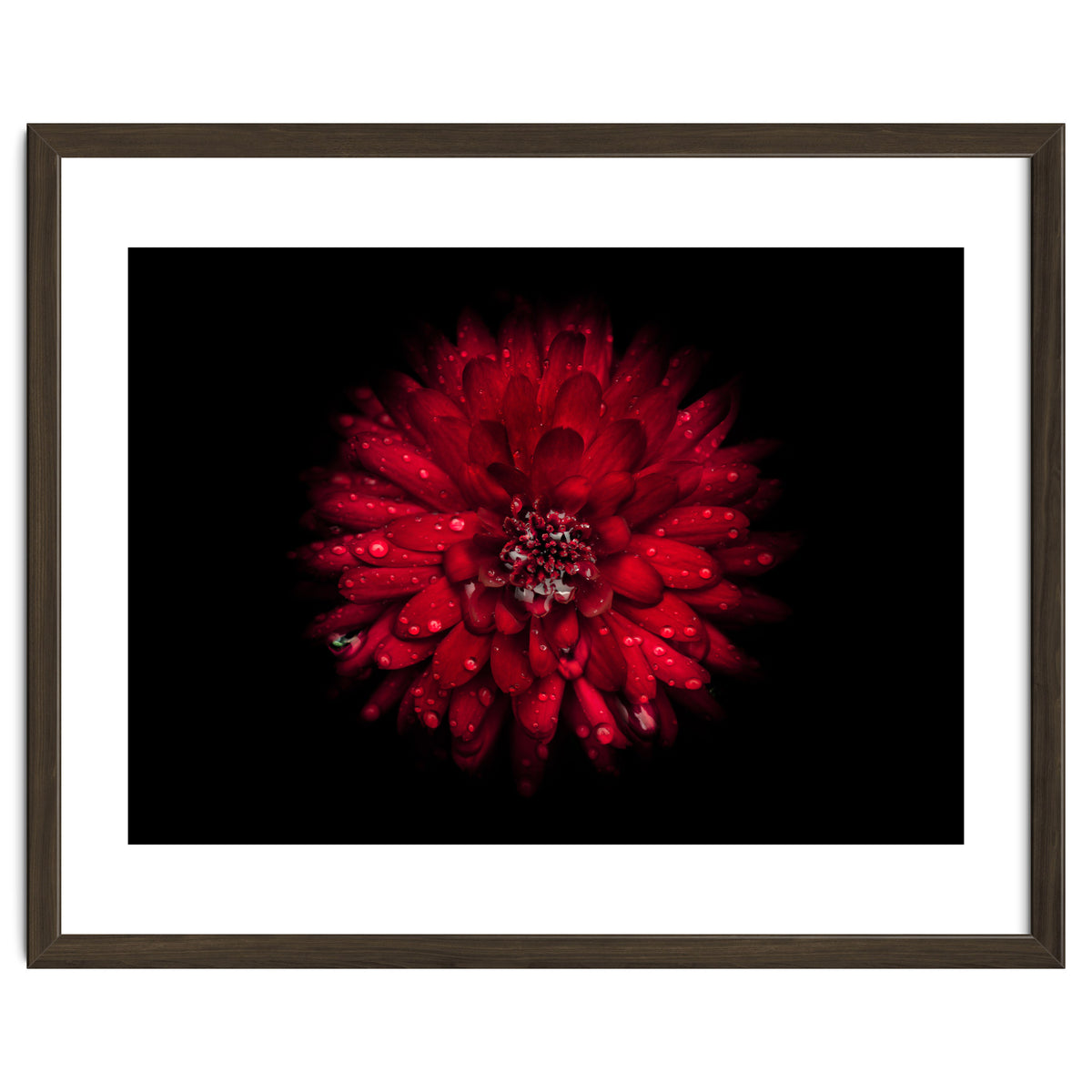 Backyard Flowers 45 Color Version