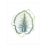 Geometry And Nature II (Print Only) thumbnail