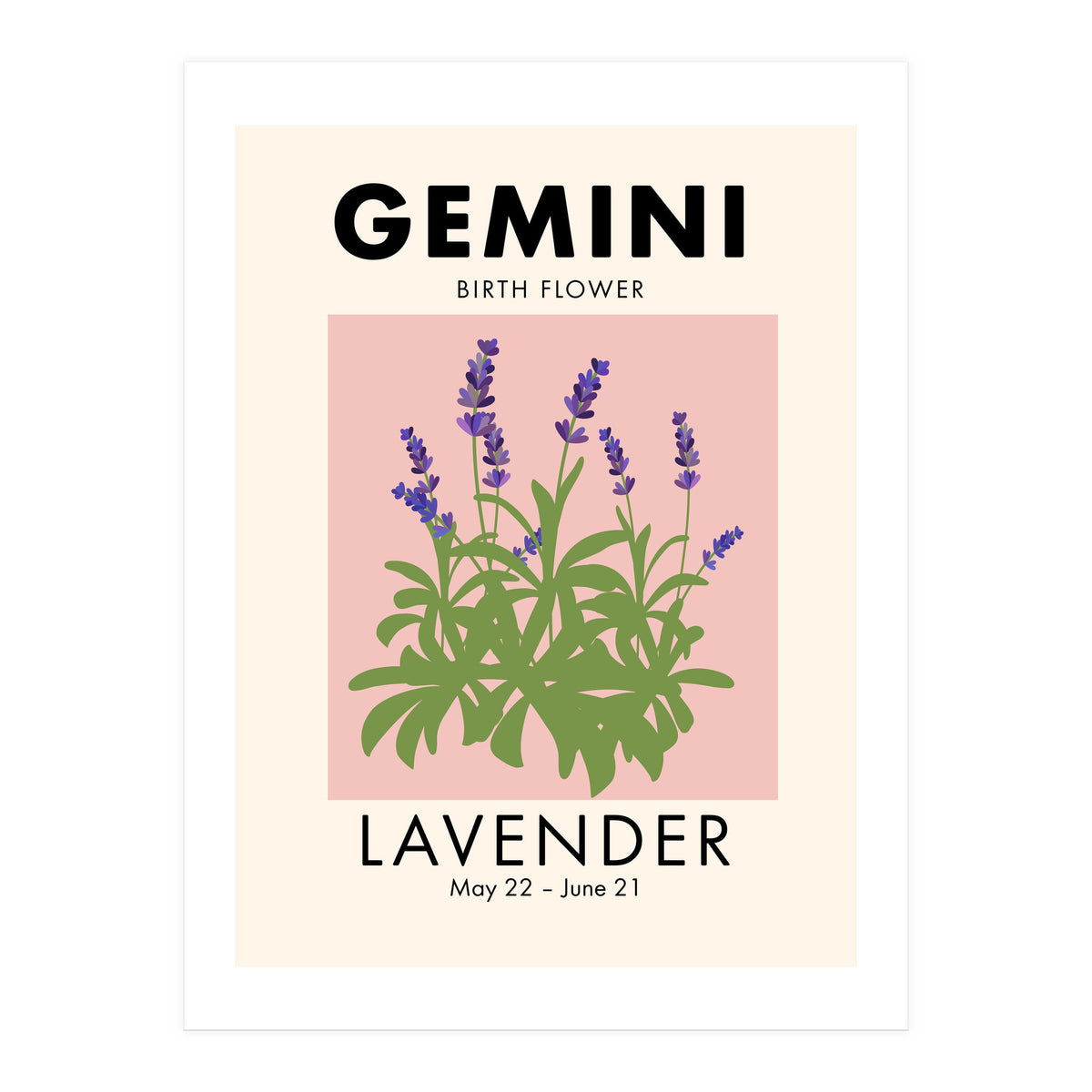 Gemini Birth Flower Lavender (Print Only)