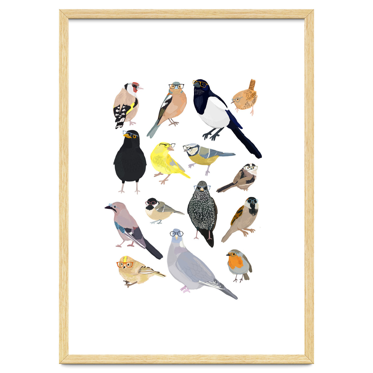 UK Birds in Glasses