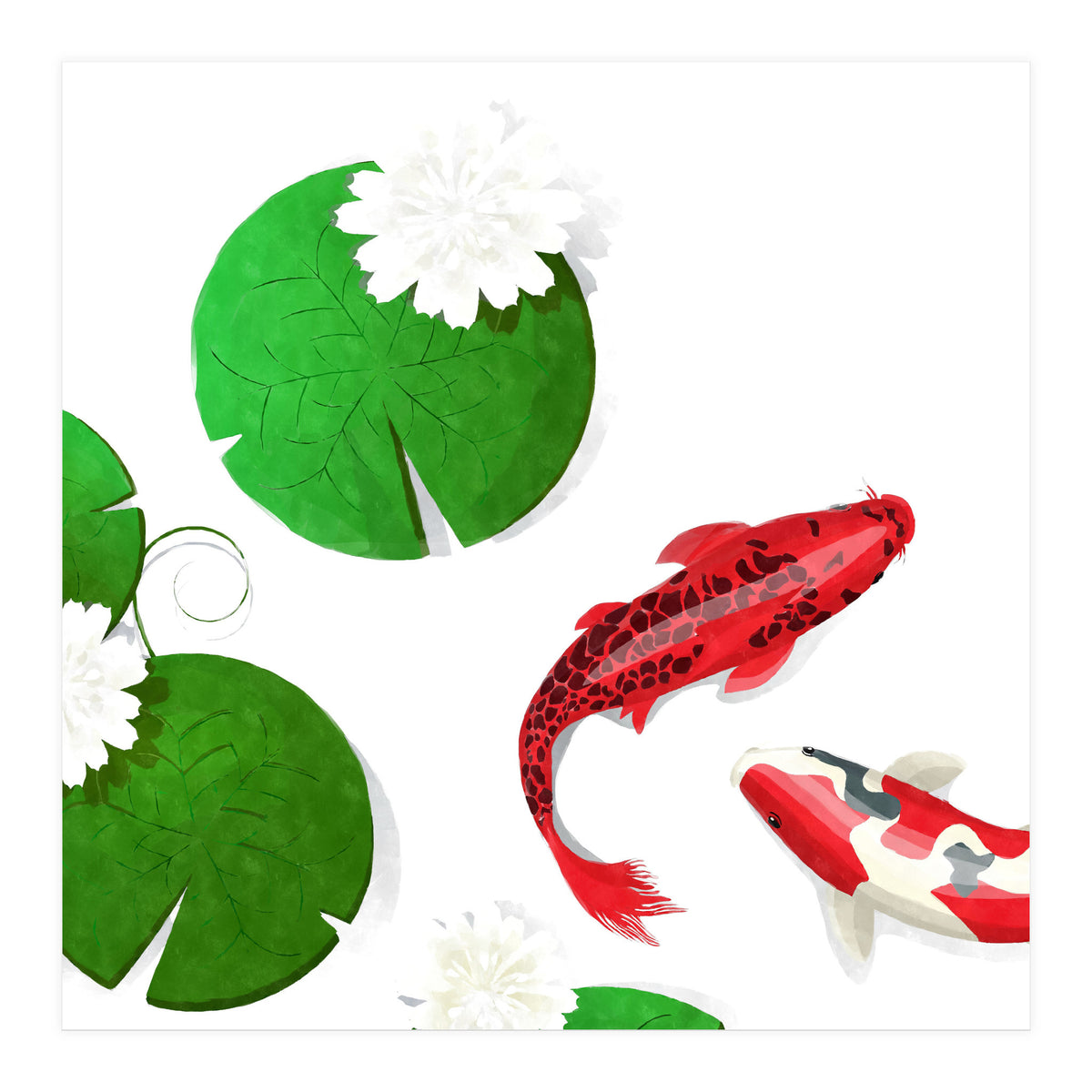 Watercolor Koi Fish Background (Print Only)