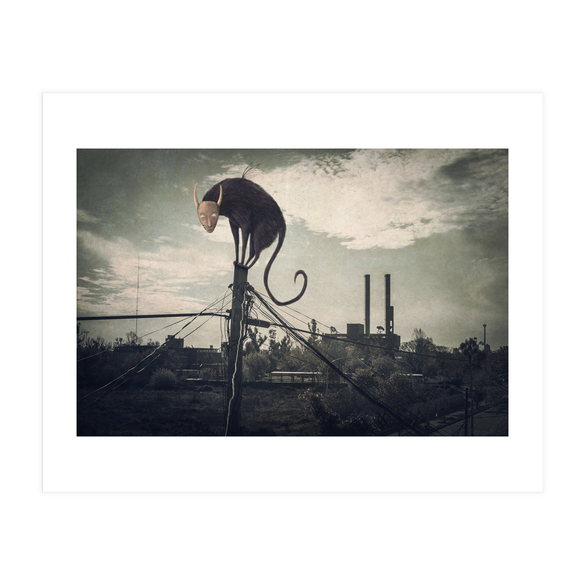 Bicho volador (Print Only)