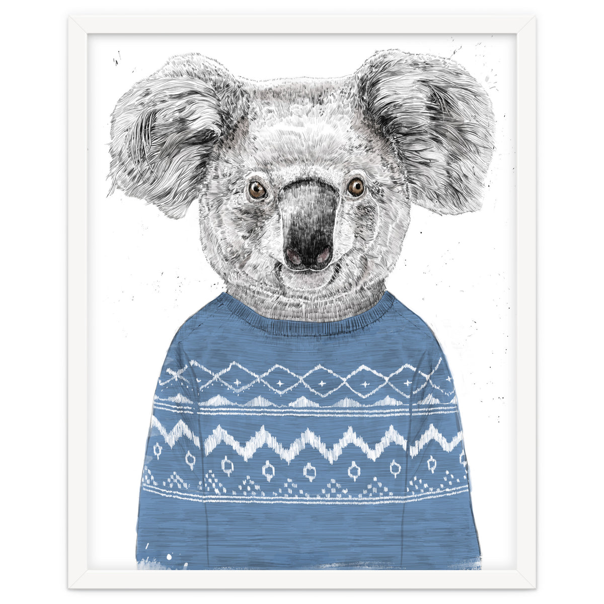 Winter Koala