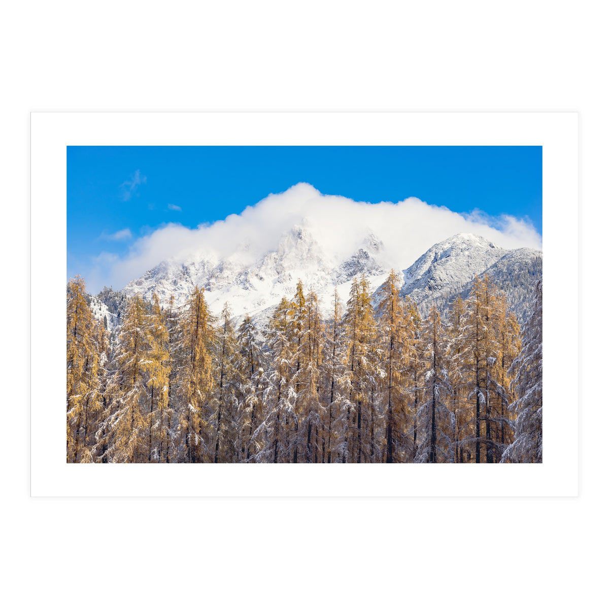 Cloudy Crown (Print Only)