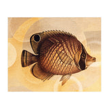 Fish Between Circles 3 (Print Only) thumbnail