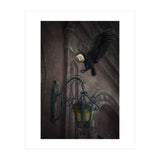 Lumieres (Print Only) thumbnail