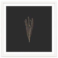 Delicate Fynbos Botanicals in Gold and Black - Square