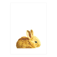 Bunny Portrait (Print Only)