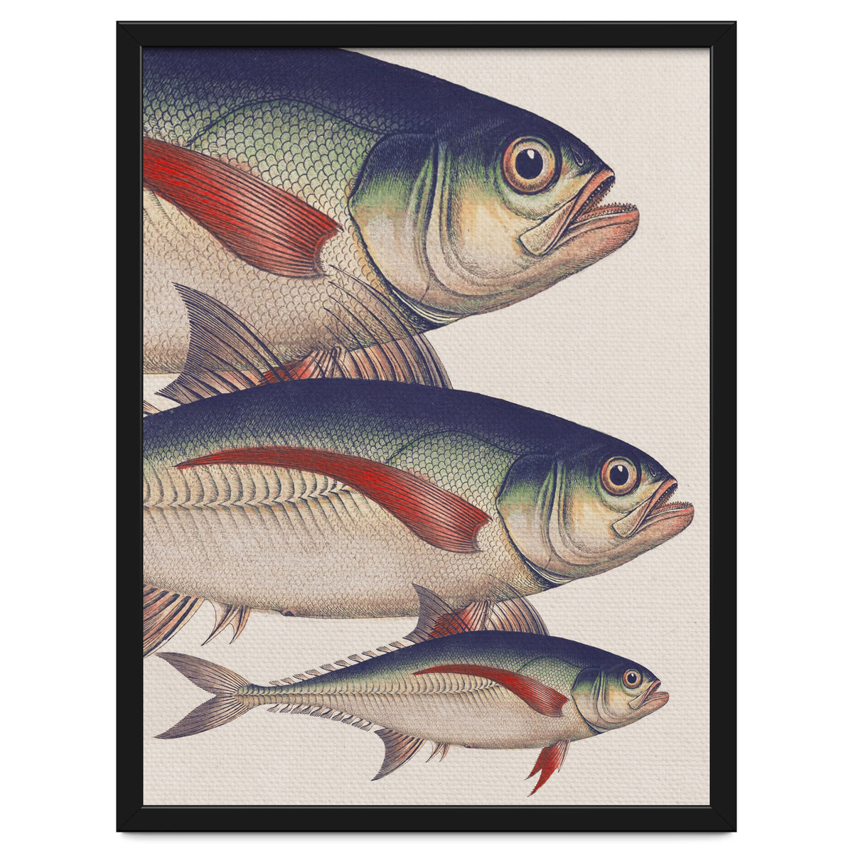 Fish Classic Designs 5