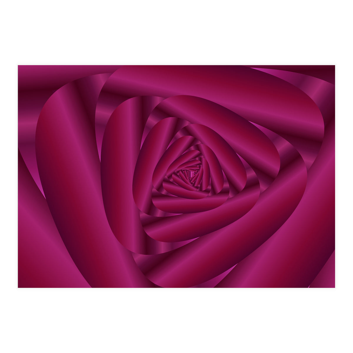 Pink Color Rose Swirl Art (Print Only)