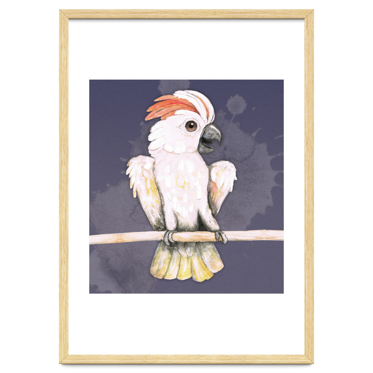 Salmon-crested cockatoo