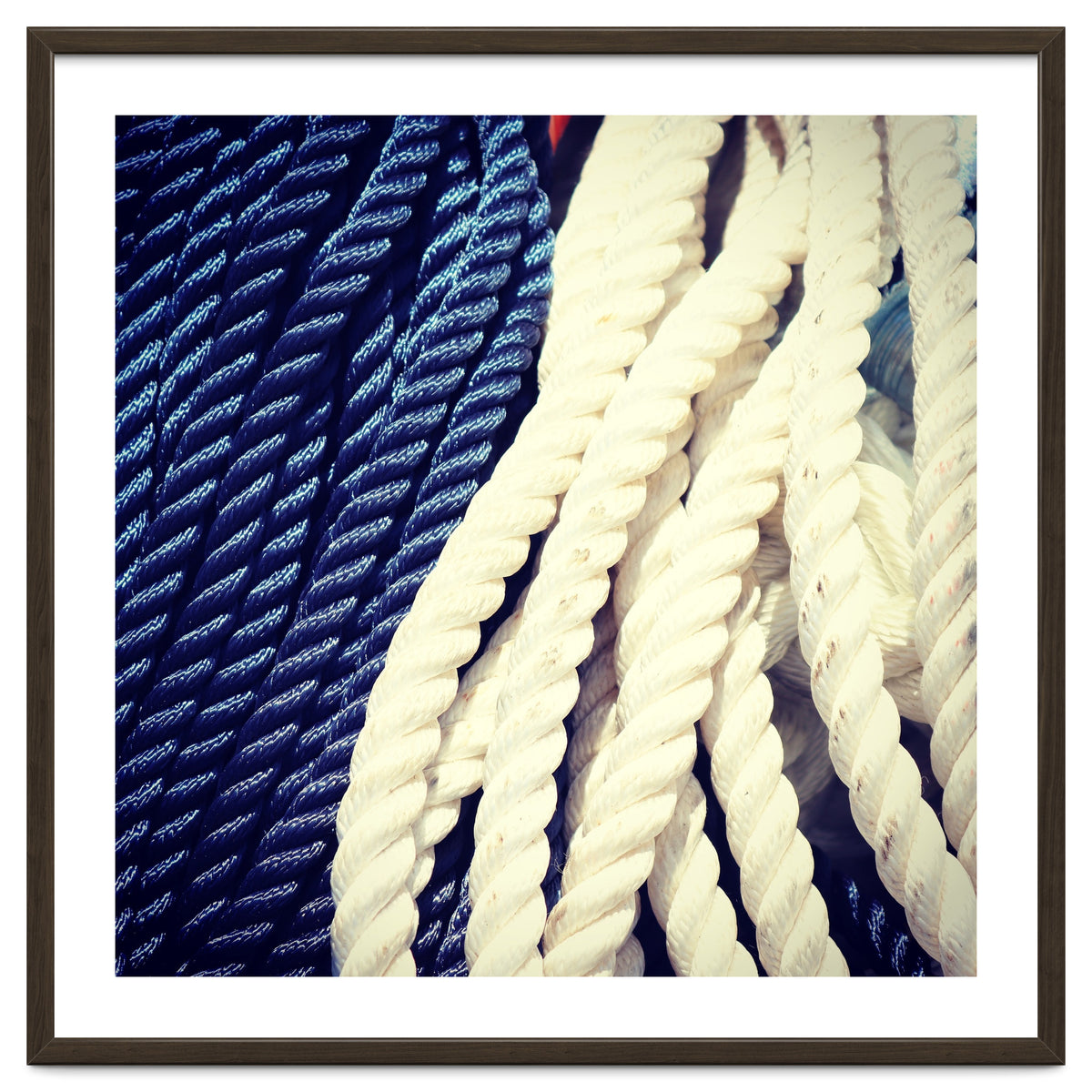 Blue and white fishing rope
