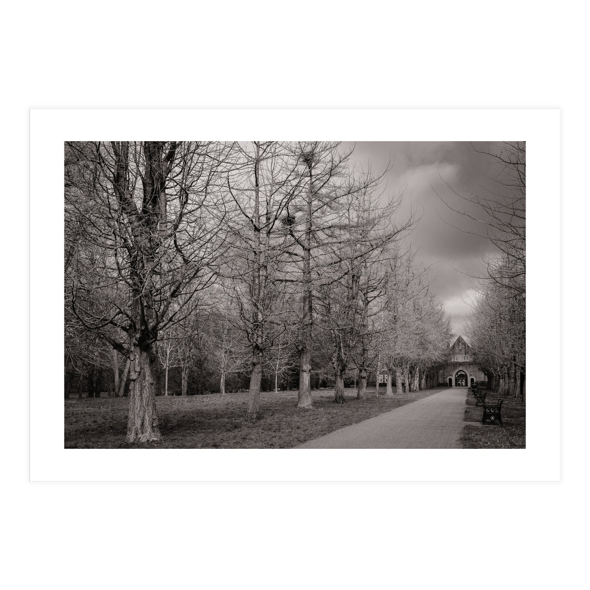 Bute Park, Cardiff (Print Only)