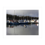 Fleet (Print Only) thumbnail