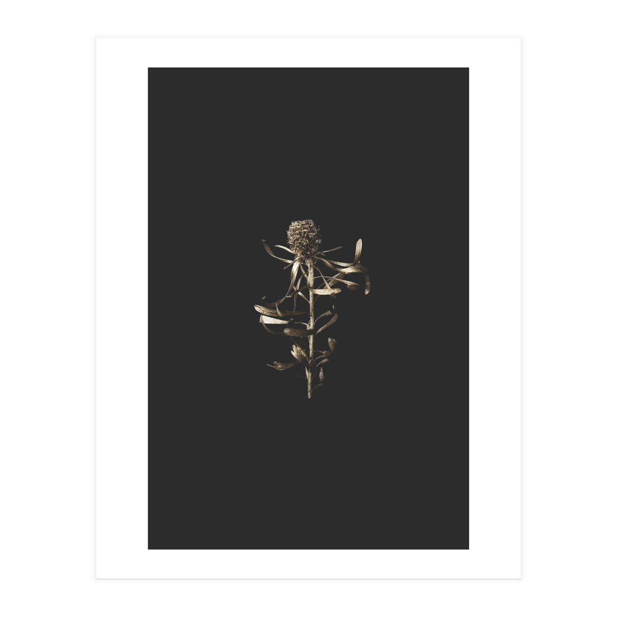 Golden Botanicals (Print Only)