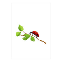 Ladybug (Print Only)