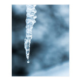 MELTING ICE - Spring is coming! (Print Only) thumbnail