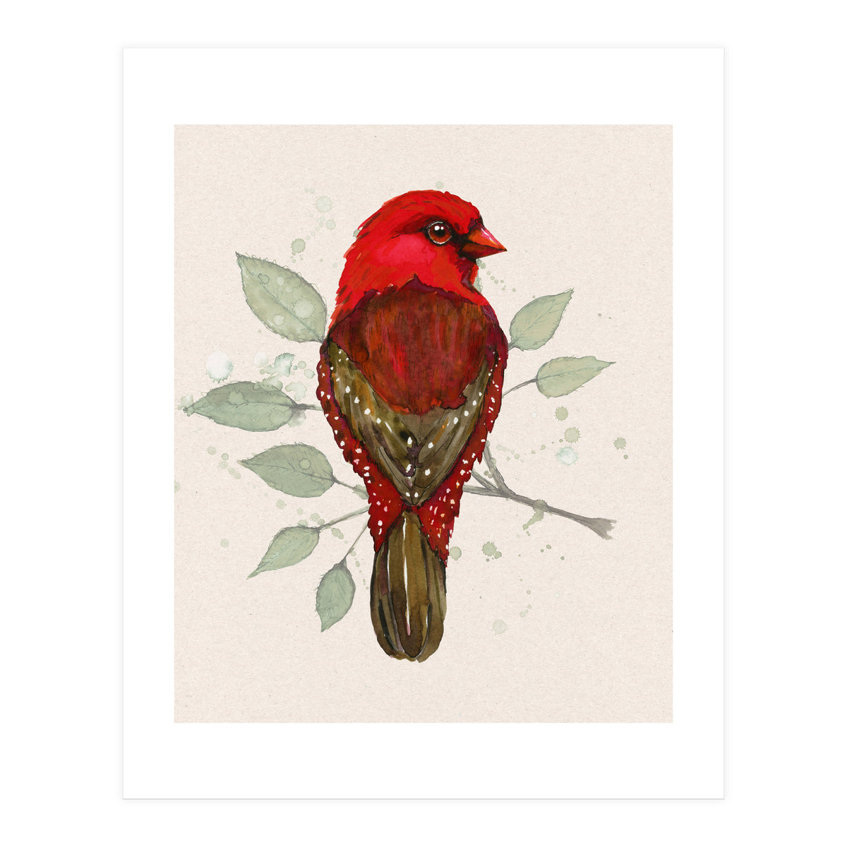 Red avadavat watercolor (Print Only)
