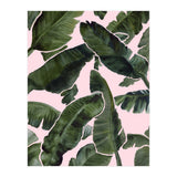 Palms (Print Only) thumbnail
