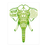 Indian Elephant (Print Only) thumbnail