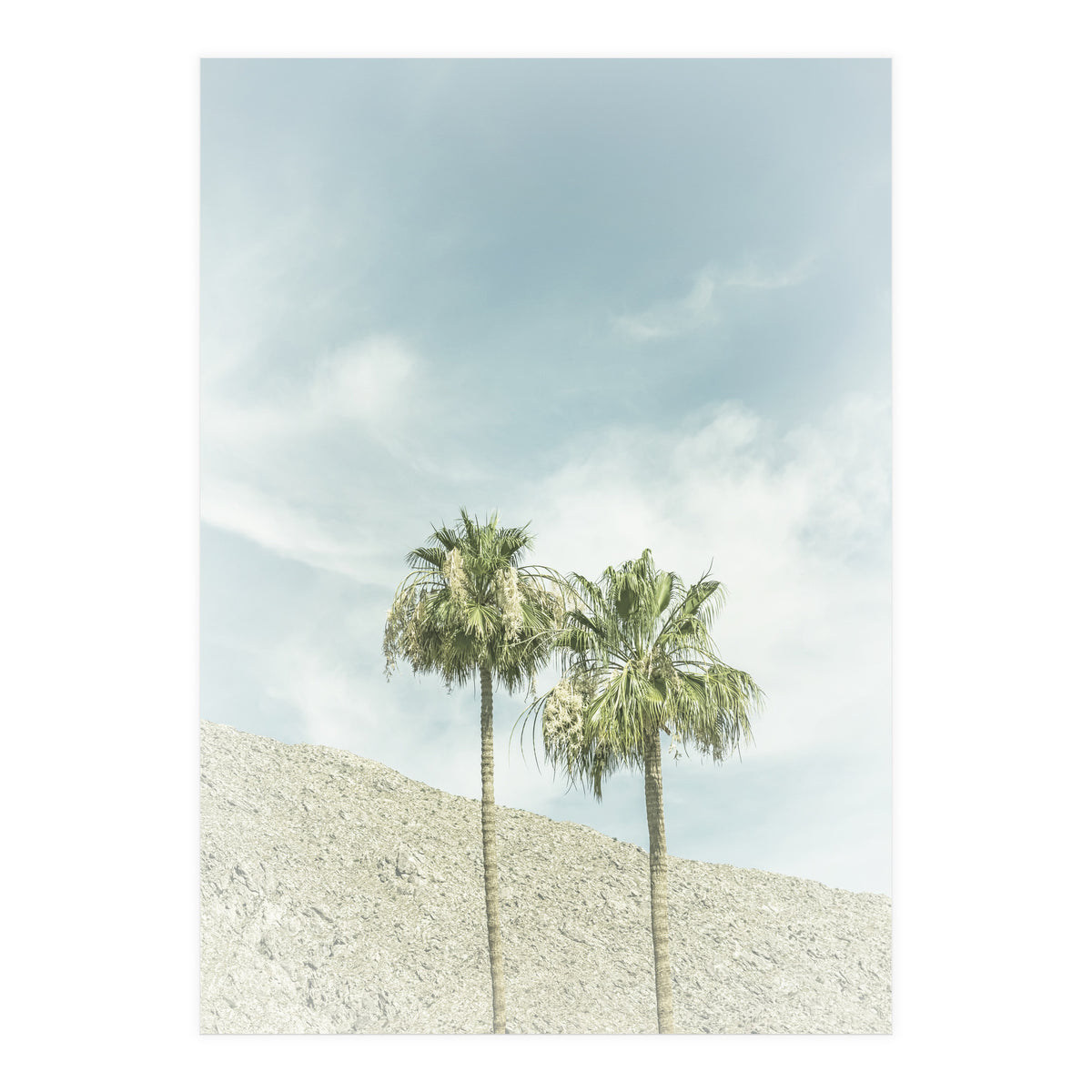 Palm Trees in the desert | Vintage (Print Only)