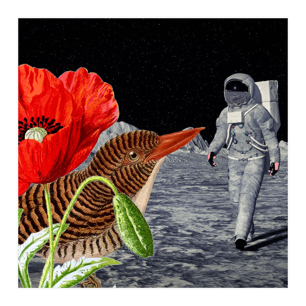 Bird On The Moon  (Print Only)