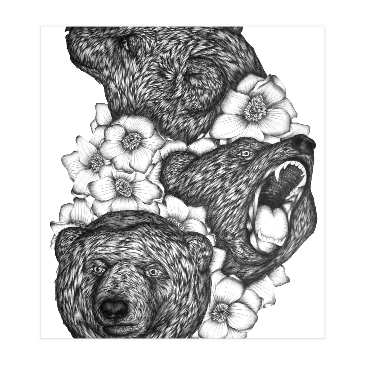 Bears In Bears (Print Only)