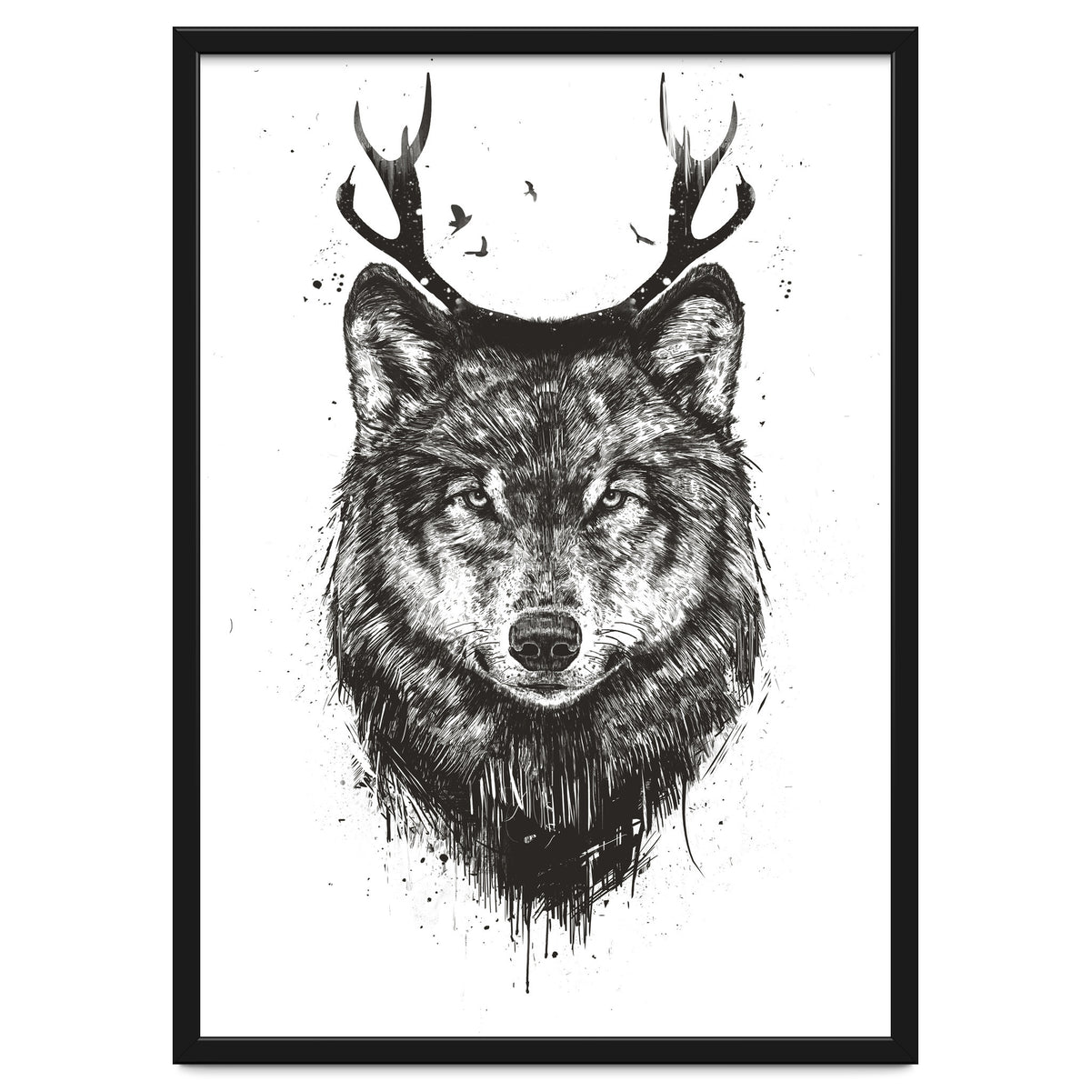 Deer Wolf Bw