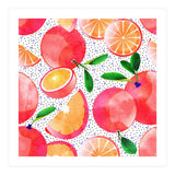 Citrus Tropical | Juicy Fruits Polka Dots | Food Orange Grapefruit Pink Watercolor Botanica (Print Only) thumbnail