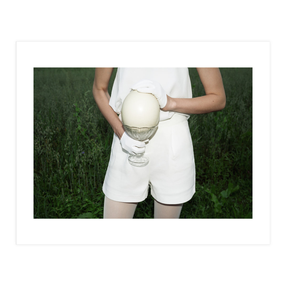 Dinosaur Inside (Print Only)