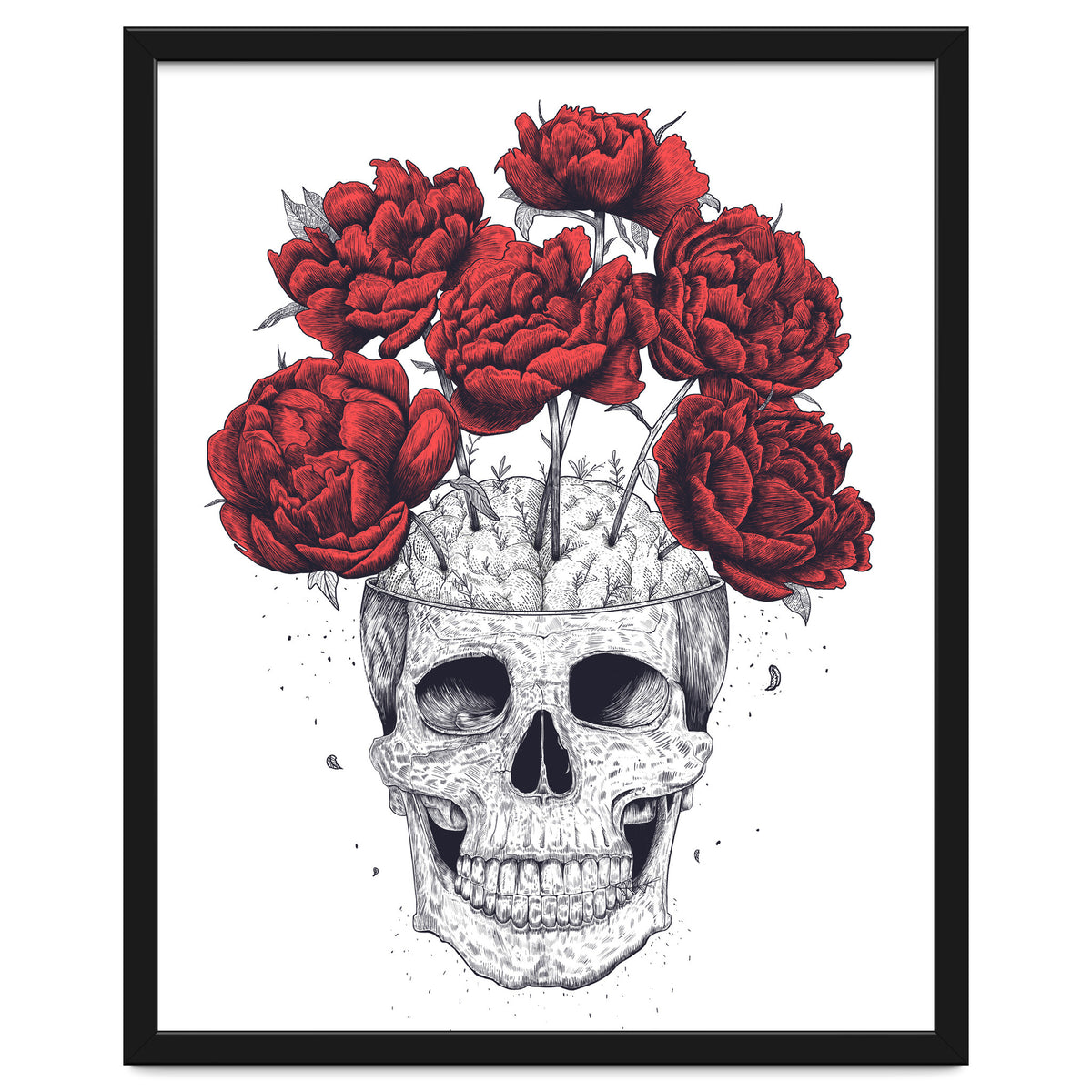 Skull With Peonies