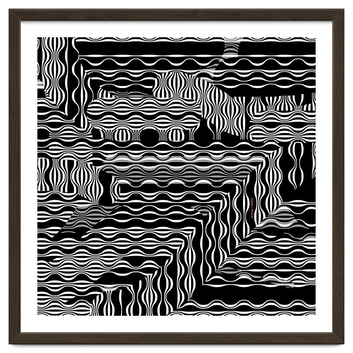 BLACK AND WHITE EXOTIC