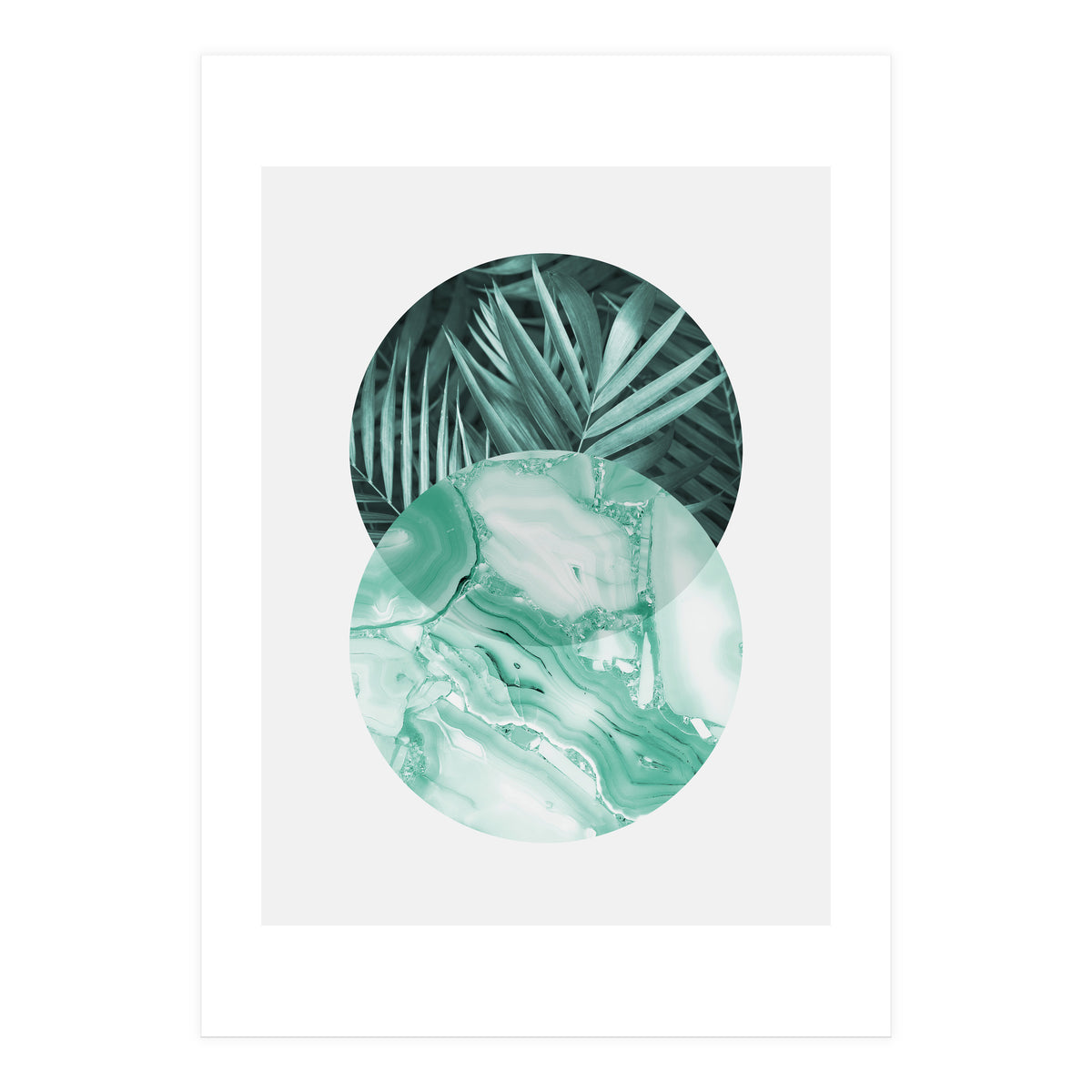 Botanical and geometric IV (Print Only)