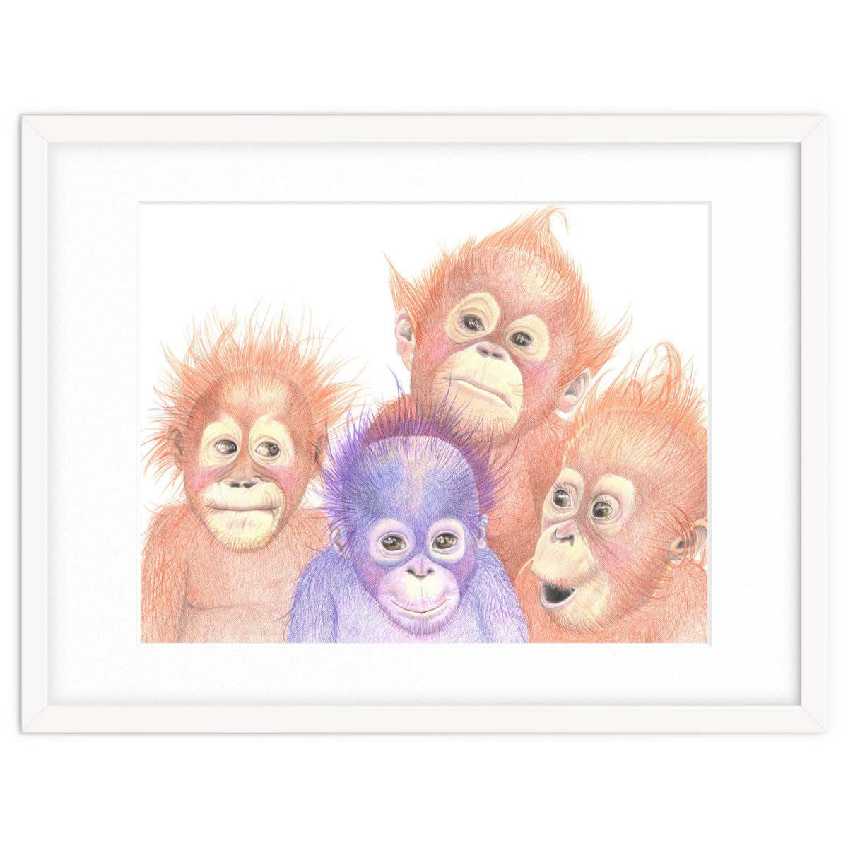 Orangutan Babies