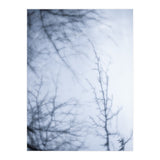 Forgotten Memories of Summer #21 (Print Only) thumbnail