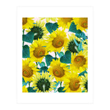 Sunflower (Print Only) thumbnail