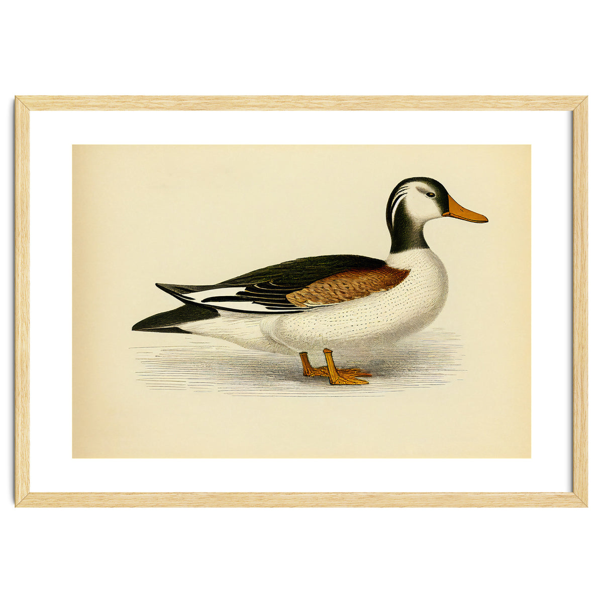 Vintage Duck Painting