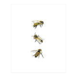 The 3 Bee's (Print Only) thumbnail
