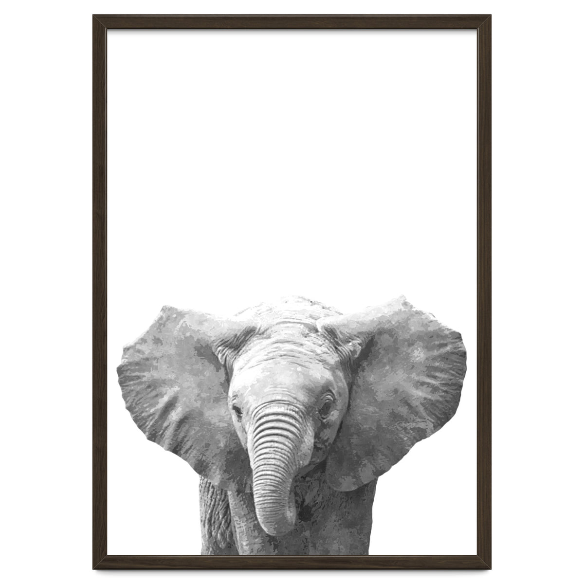 Black and White Baby Elephant