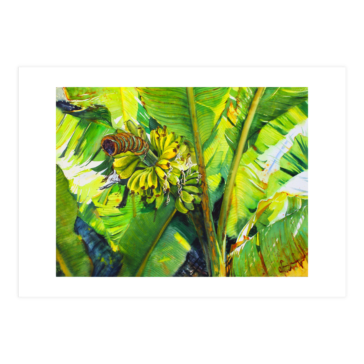 Tropical Fruit (Print Only)