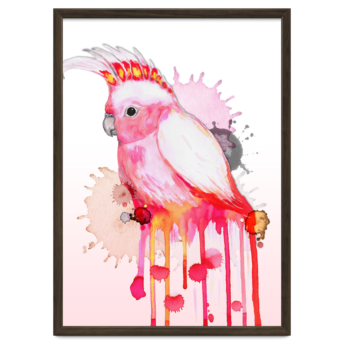 Major Mitchell's cockatoo