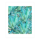 Agave  (Print Only) thumbnail