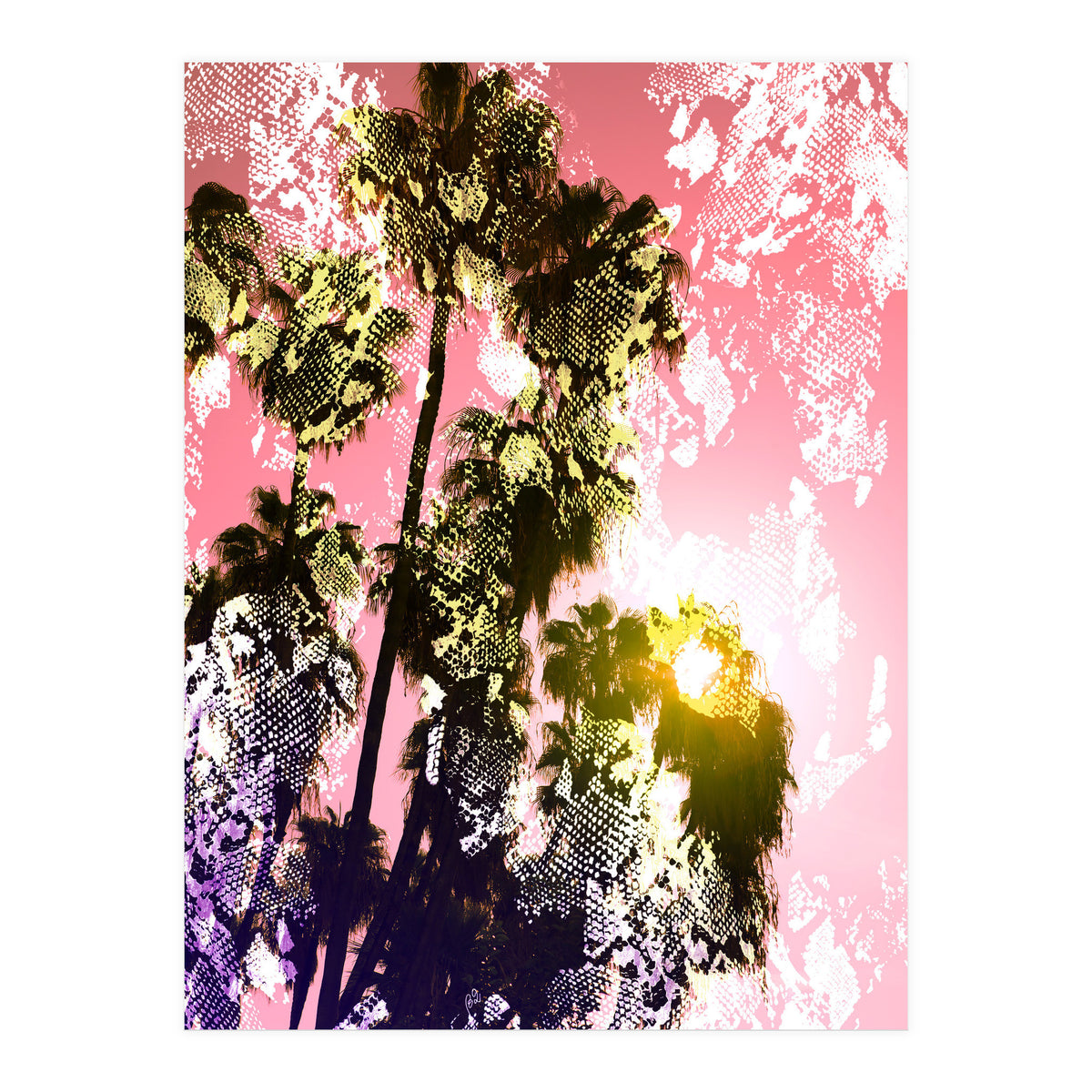 Snake sunset in paradise  (Print Only)