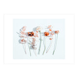 Minima (Print Only) thumbnail