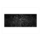Bubbles (Print Only) thumbnail