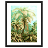 Vintage Tropical | Jungle Botanical Nature Banana Tree | Bohemian Plants Trees Forest thumbnail